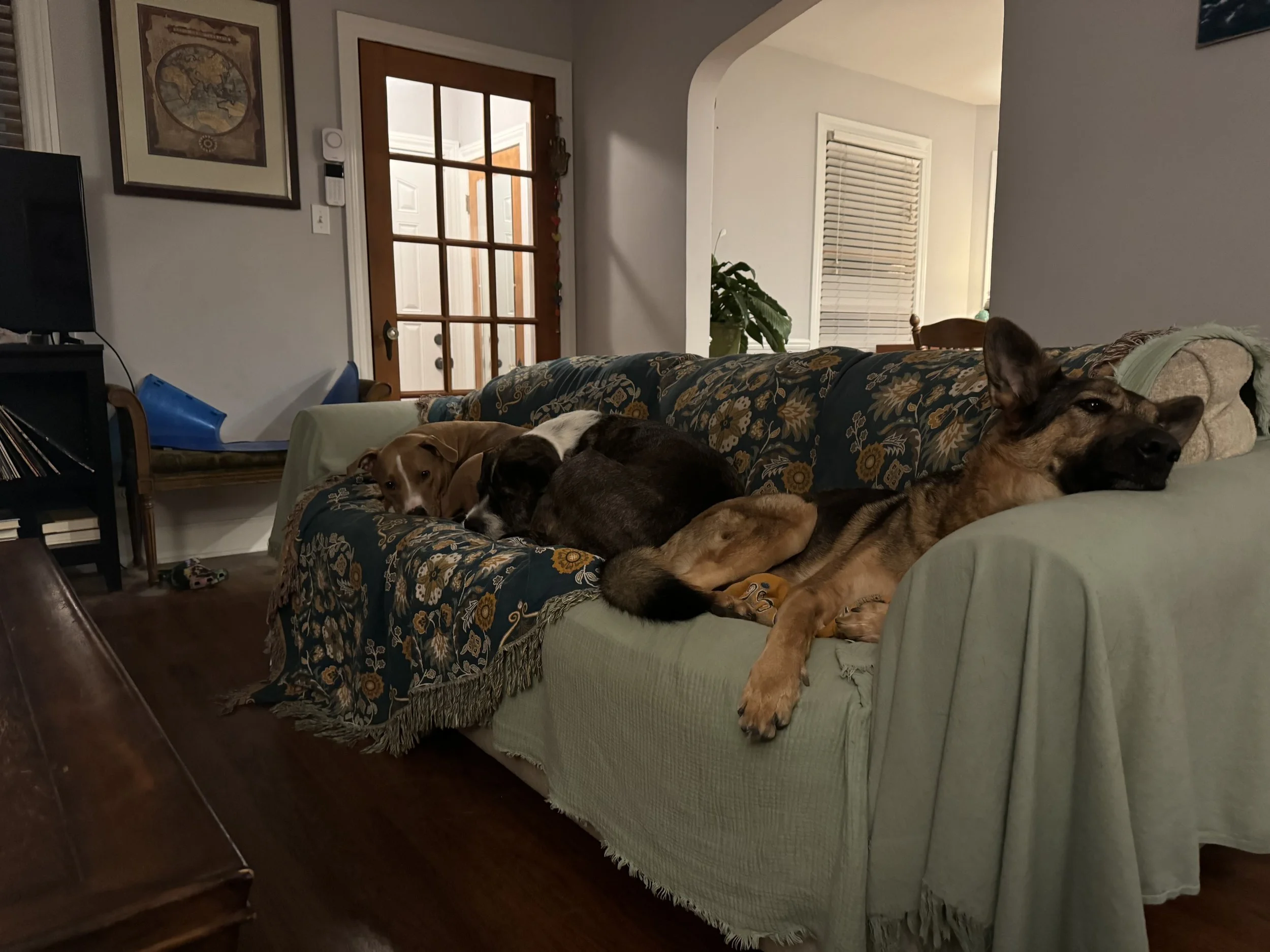 IMG_5918.jpeg
