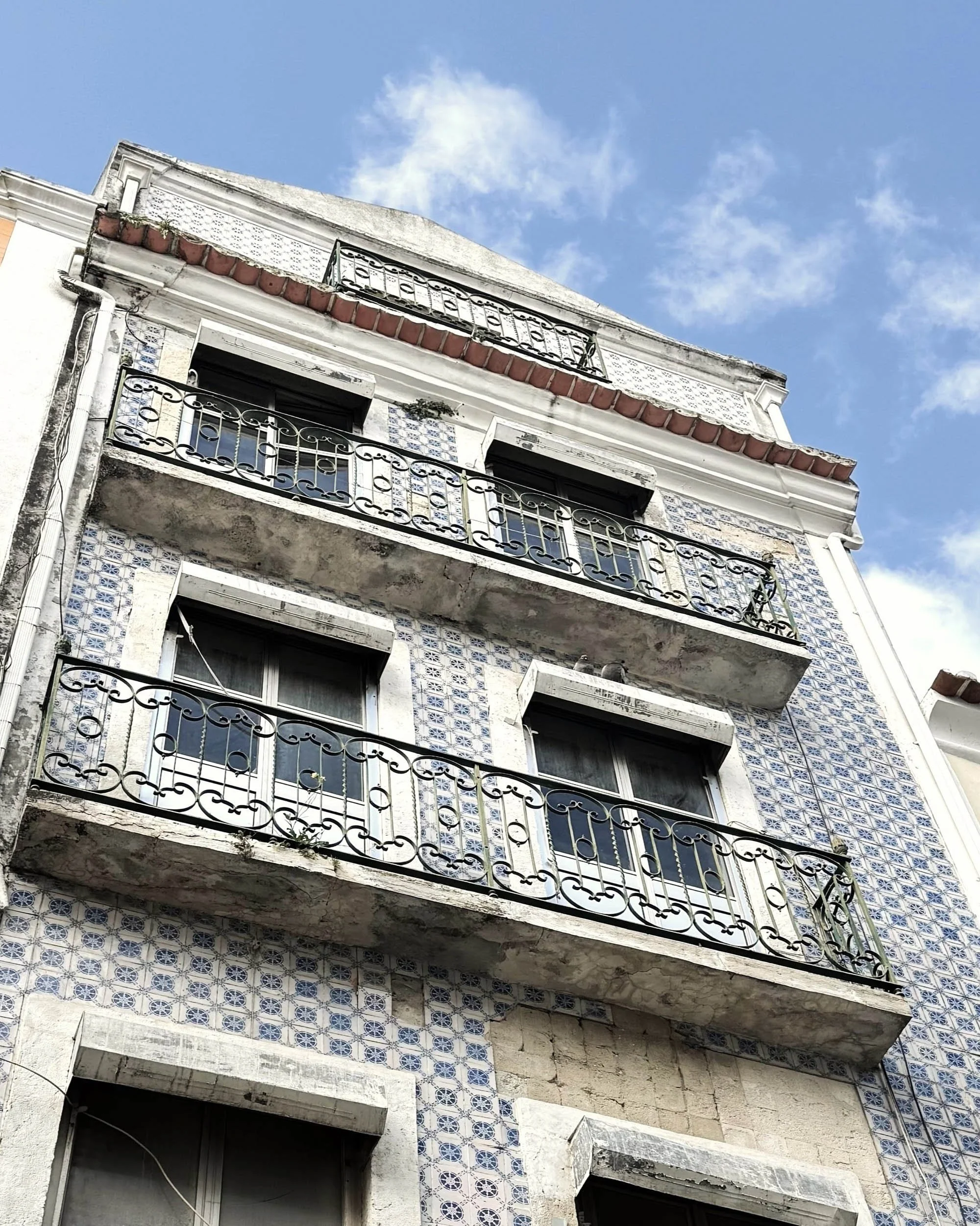 Fernandes Tomás Complete Building Rehabilitation Beelt