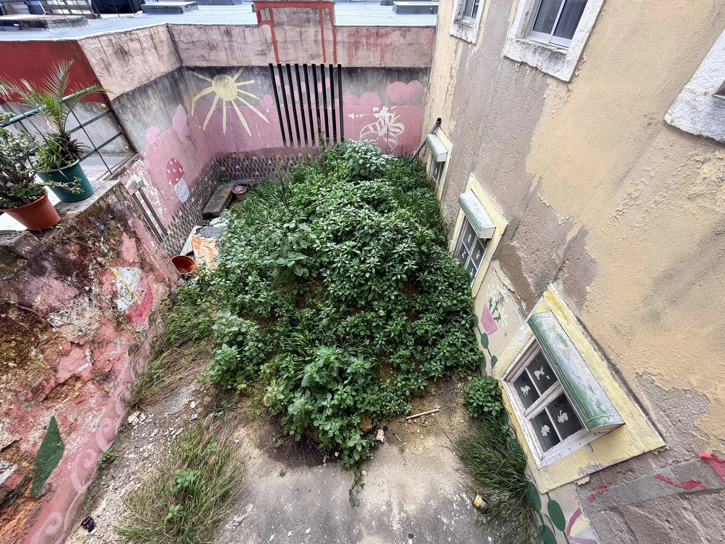 Paço da Rainha Reabilitação Reconstrução Edifício Beelt