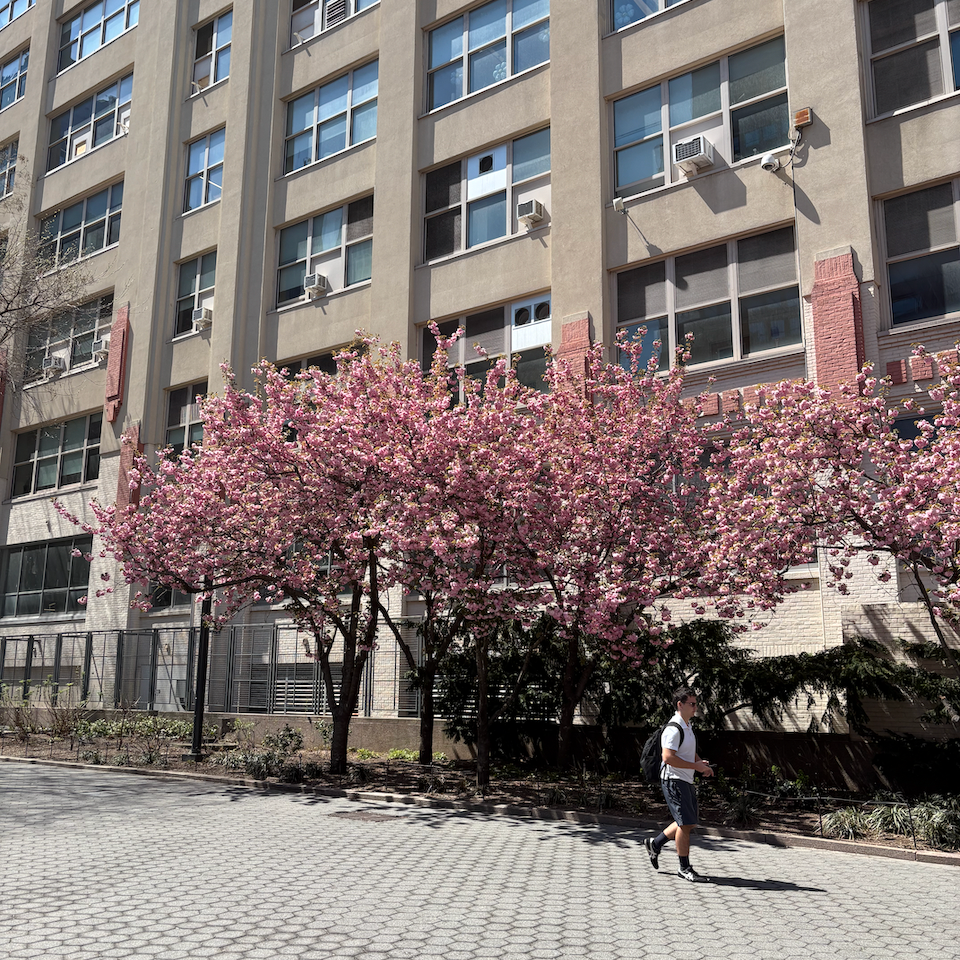 Spring at NYU Tandon, Brooklyn