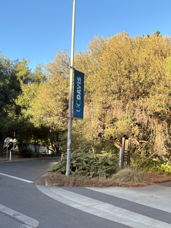 Prof. Hidalgo in UC, Davis (Summer 2026)