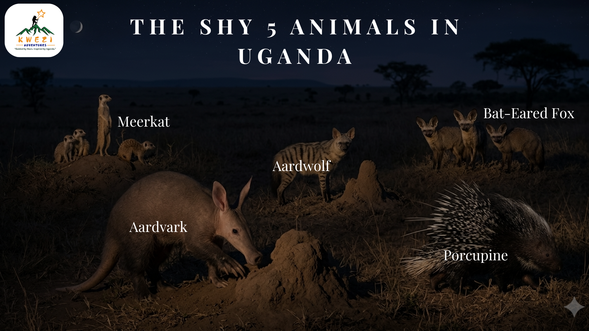 The Shy 5 Animals in Uganda