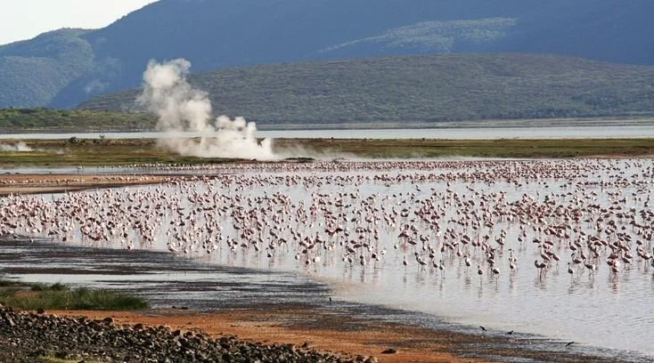 national parks in Kenya