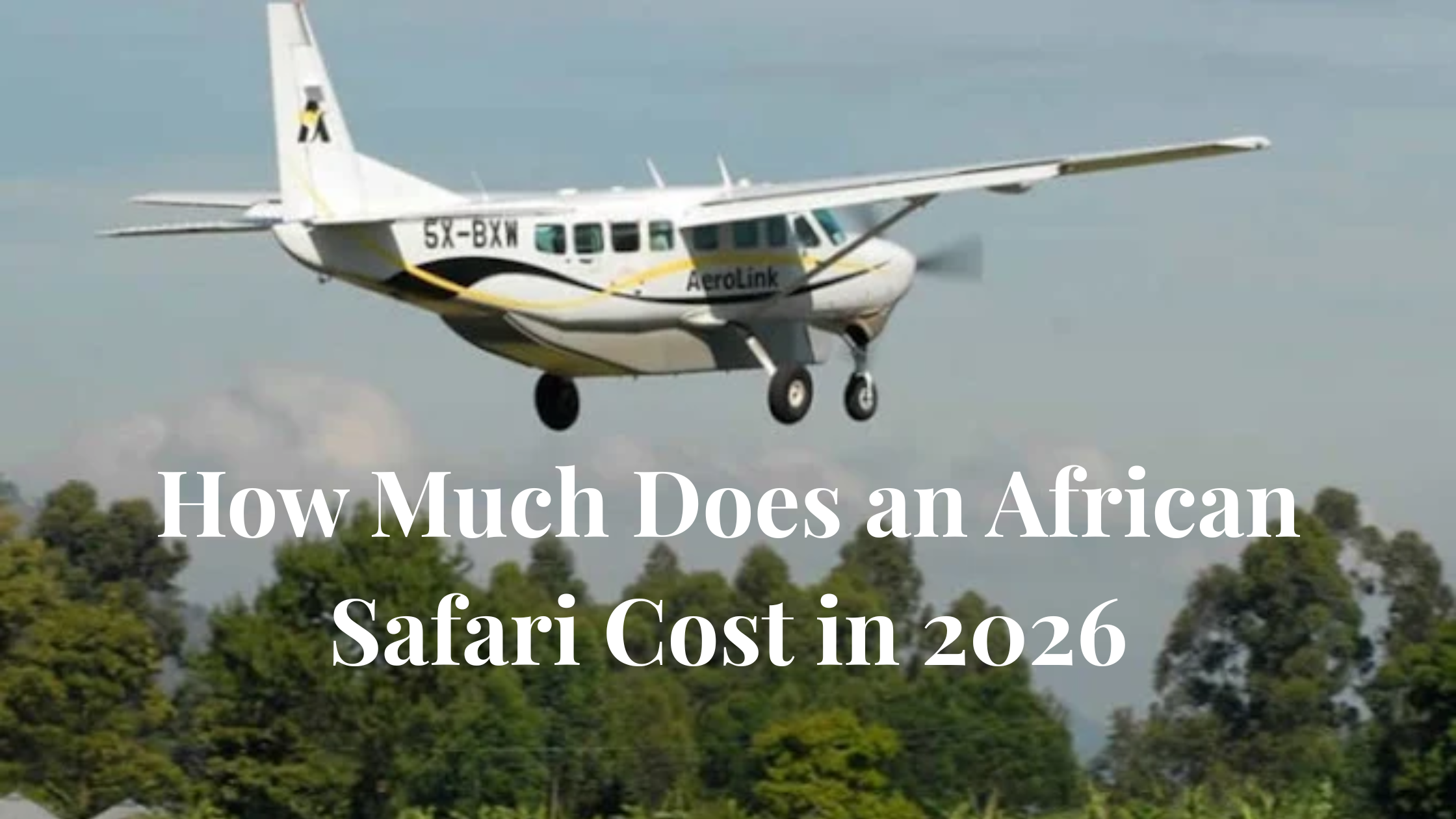 African Safari Cost in 2026