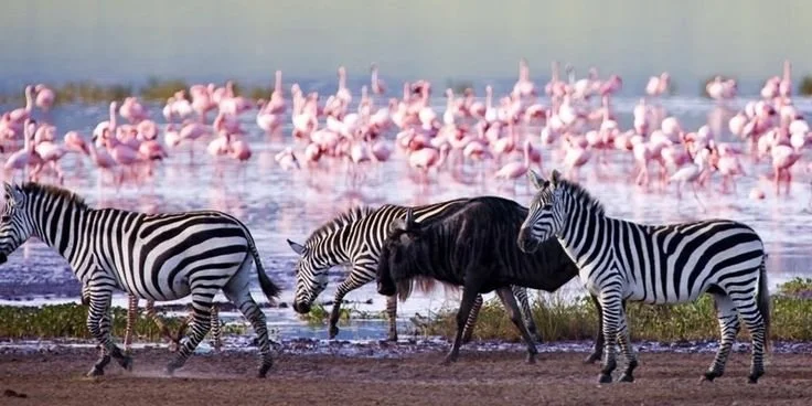 national parks in Kenya