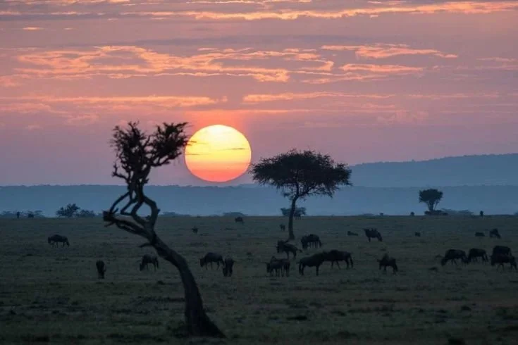 Maasai Mara National Reserve