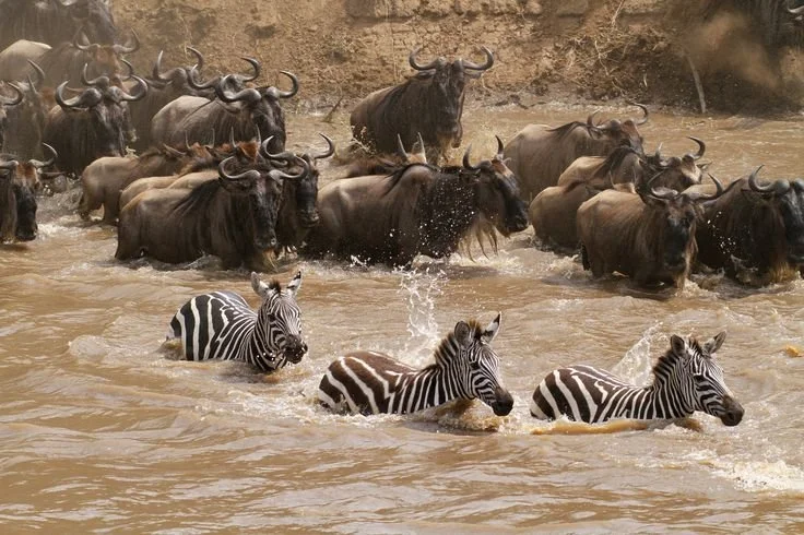 10 Day Classic Kenya Safari