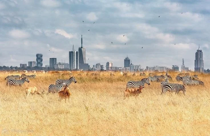 national parks in Kenya