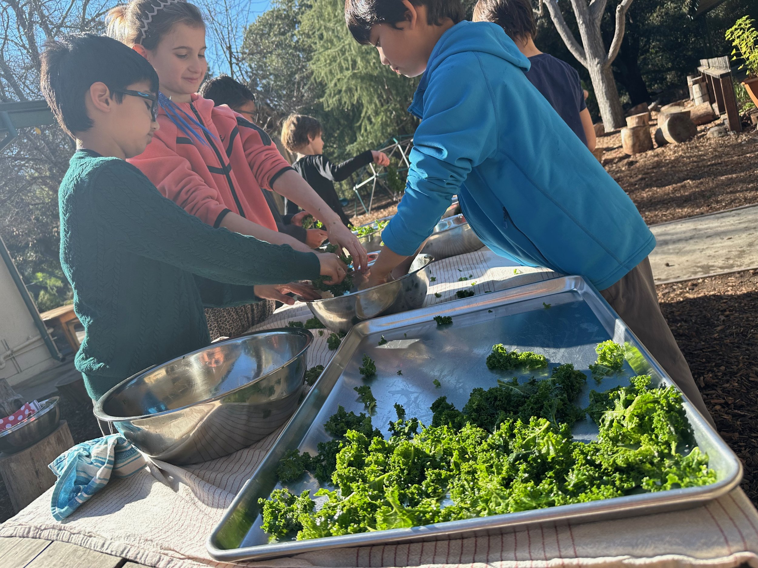 The Garden as Classroom: Nurturing Whole Children Through Hands-On Learning