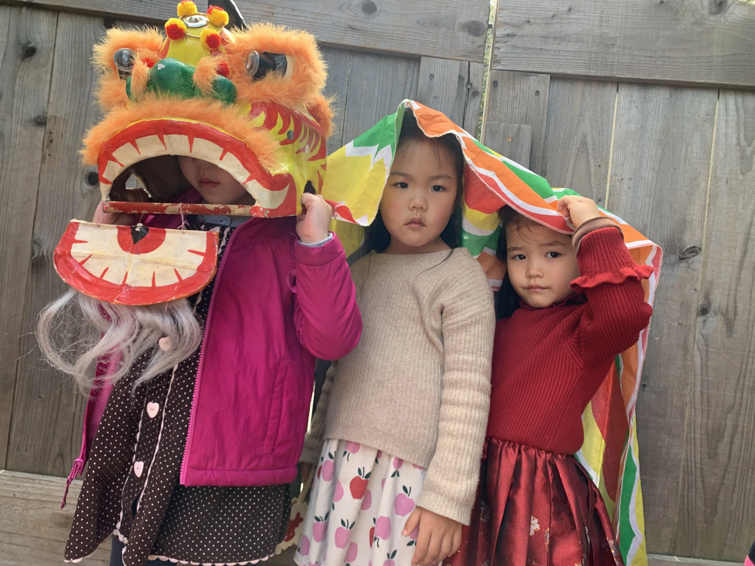 Color, Community, and Celebration: WSP Marks Lunar New Year and Holi
