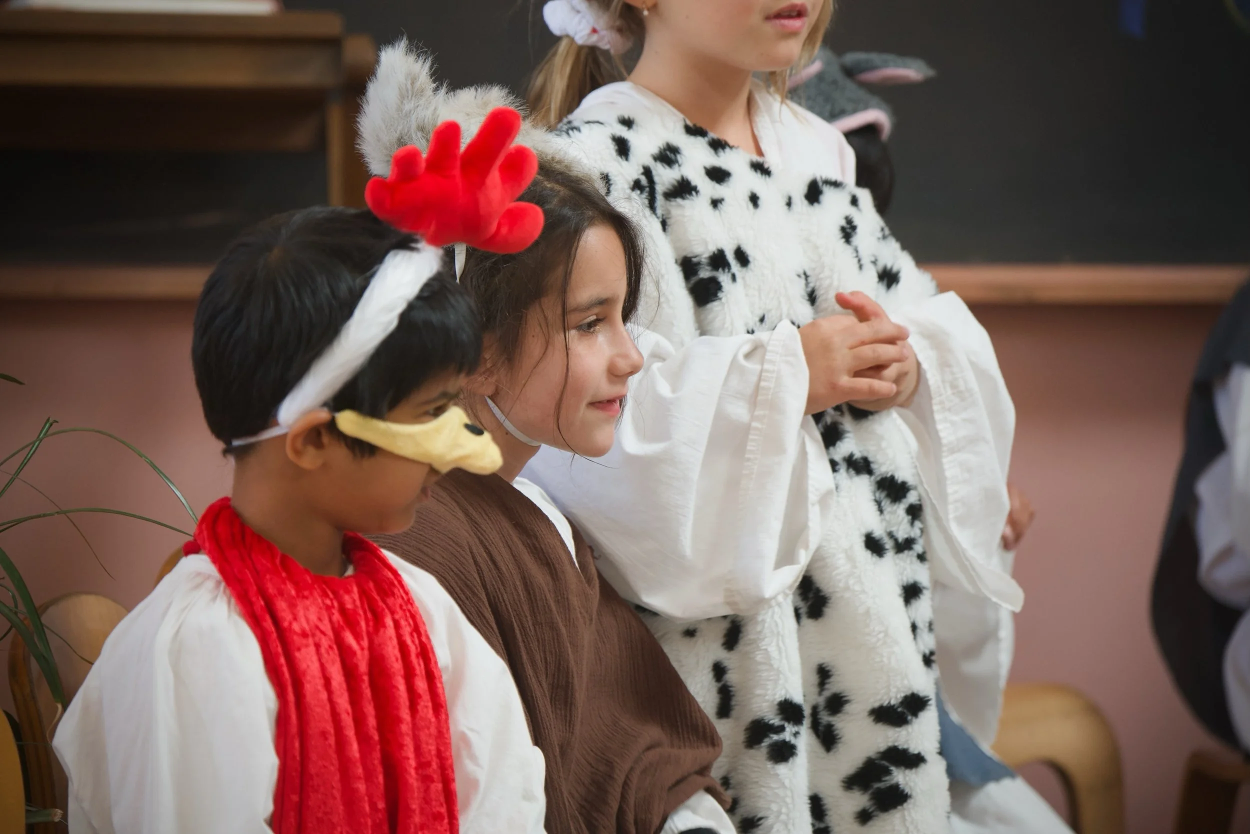 Grade 1 recently presented The Bremen Town Musicians, the story of four unlikely companions who discover the power of friendship, courage, and working together. 🤍

At Waldorf schools, class plays are woven into the curriculum, helping children build