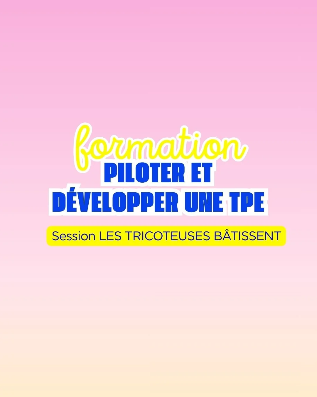 Piloter et développer une TPE (LES TRICOTEUSES BÂTISSENT)