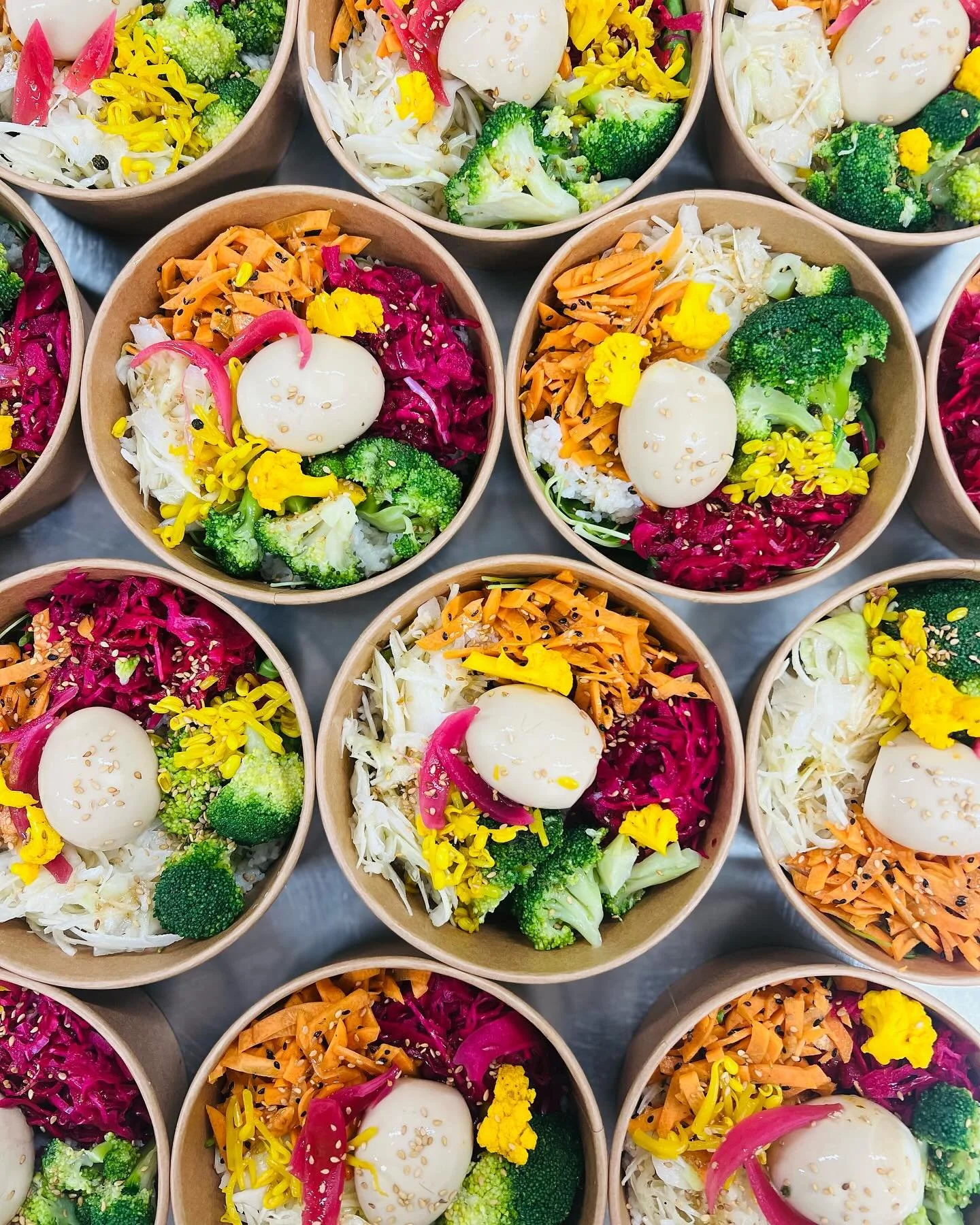 Salades colorées servies dans des bols en carton avec œuf dur, brocoli, carottes râpées, choux rouge, et garnitures.