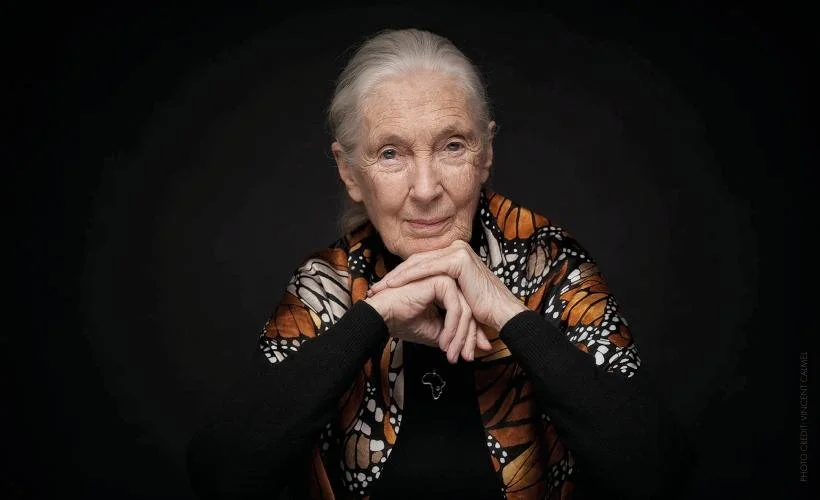 An Evening with Jane Goodall