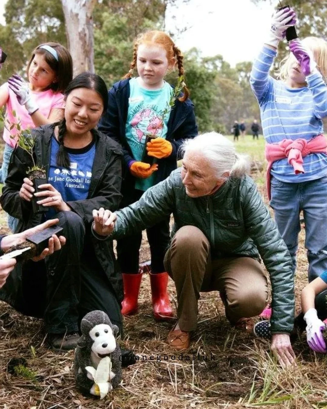 Jane Goodall often said that, beyond her chimpanzee research, she hoped to be remembered for Roots &amp; Shoots the youth action programme she started in Tanzania over 30 years ago.

What began with a few students wanting to make a difference has gro