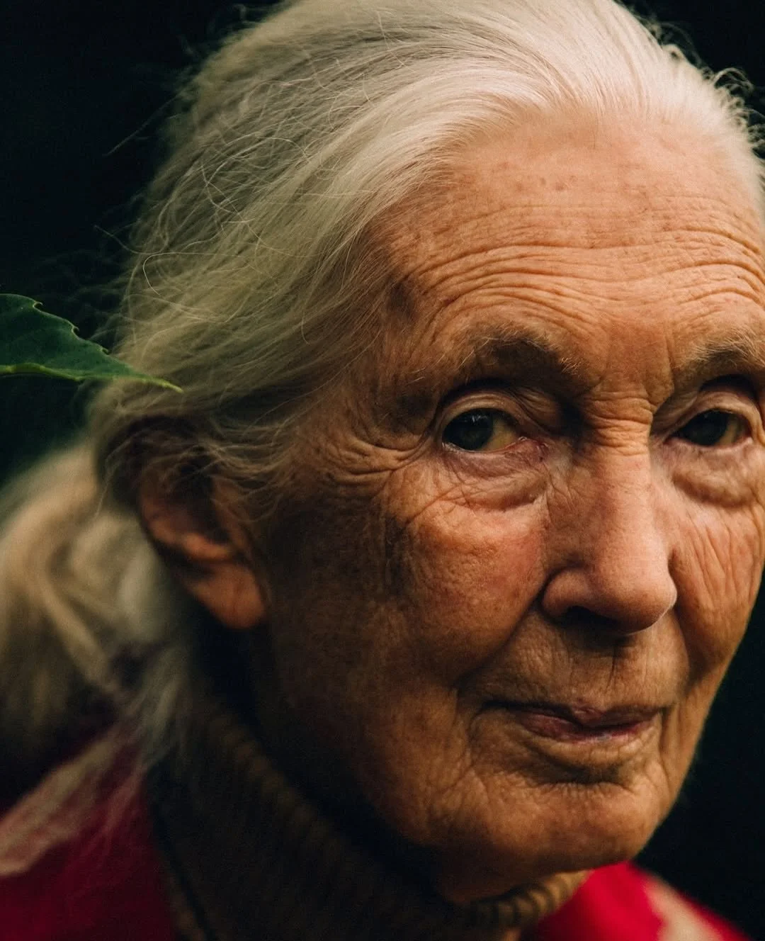 &ldquo;In these times today, with what&rsquo;s going on in the world, we must not give up, and instead fight harder for truth and justice,&rdquo; said Dr. Jane back in July when she was interviewed for the @fthtsi 
⁠
&ldquo;If you lose hope, then we 