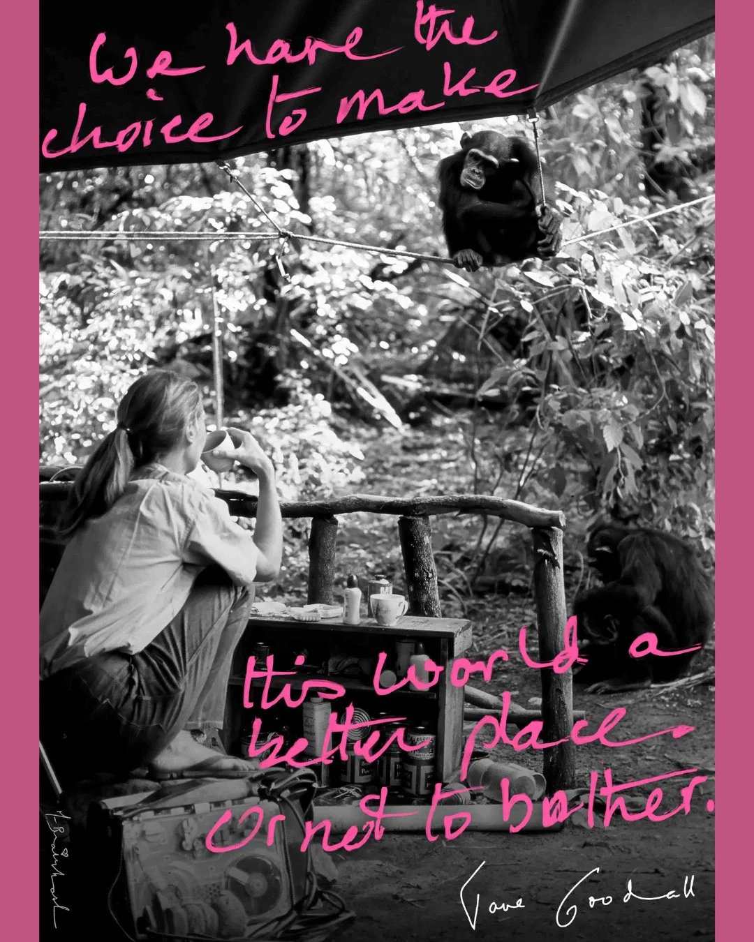 💭 What gives you hope for our planet?⁠
⁠
Every act of kindness and every small choice matters and when you support the Jane Goodall Institute UK, you&rsquo;re turning hope into real, tangible action.⁠
⁠
Your donation will empower young change makers