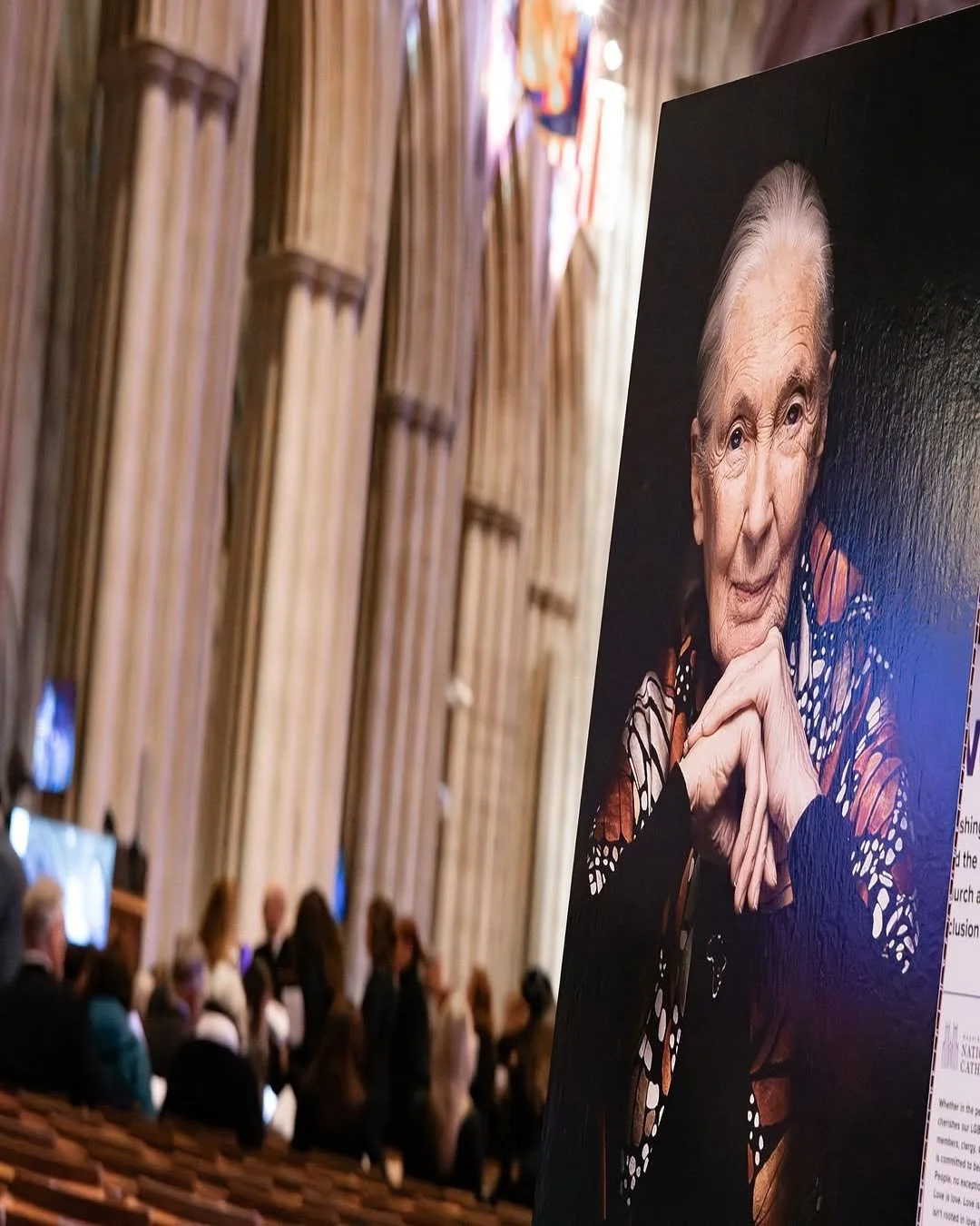 🕊️ Honoring the Life of Dr. Jane Goodall

At the Washington National Cathedral, people from around the world gathered to celebrate the extraordinary life of Dr. Jane Goodall, whose curiosity, courage and compassion transformed how we understand and 