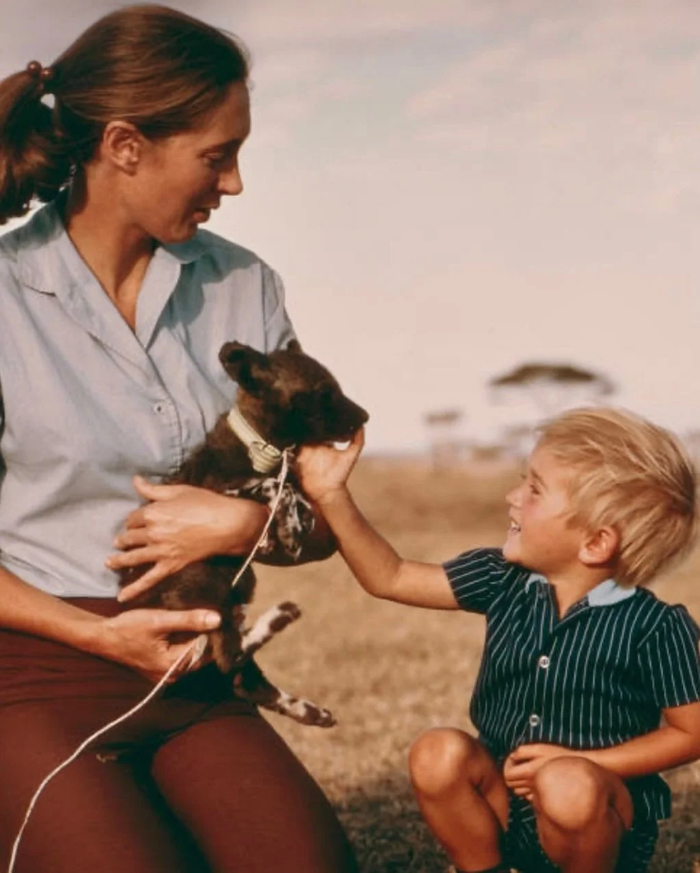 A glimpse into the early 1970s. Jane in the Gombe Reserve in east central Africa with her husband, wildlife photographer Baron Hugo van Lawick, and their young son, Hugo Eric Louis van Lawick. ⁠
⁠
Photos: Hutton Archive⁠
⁠
#theswanspod #janegoodall #