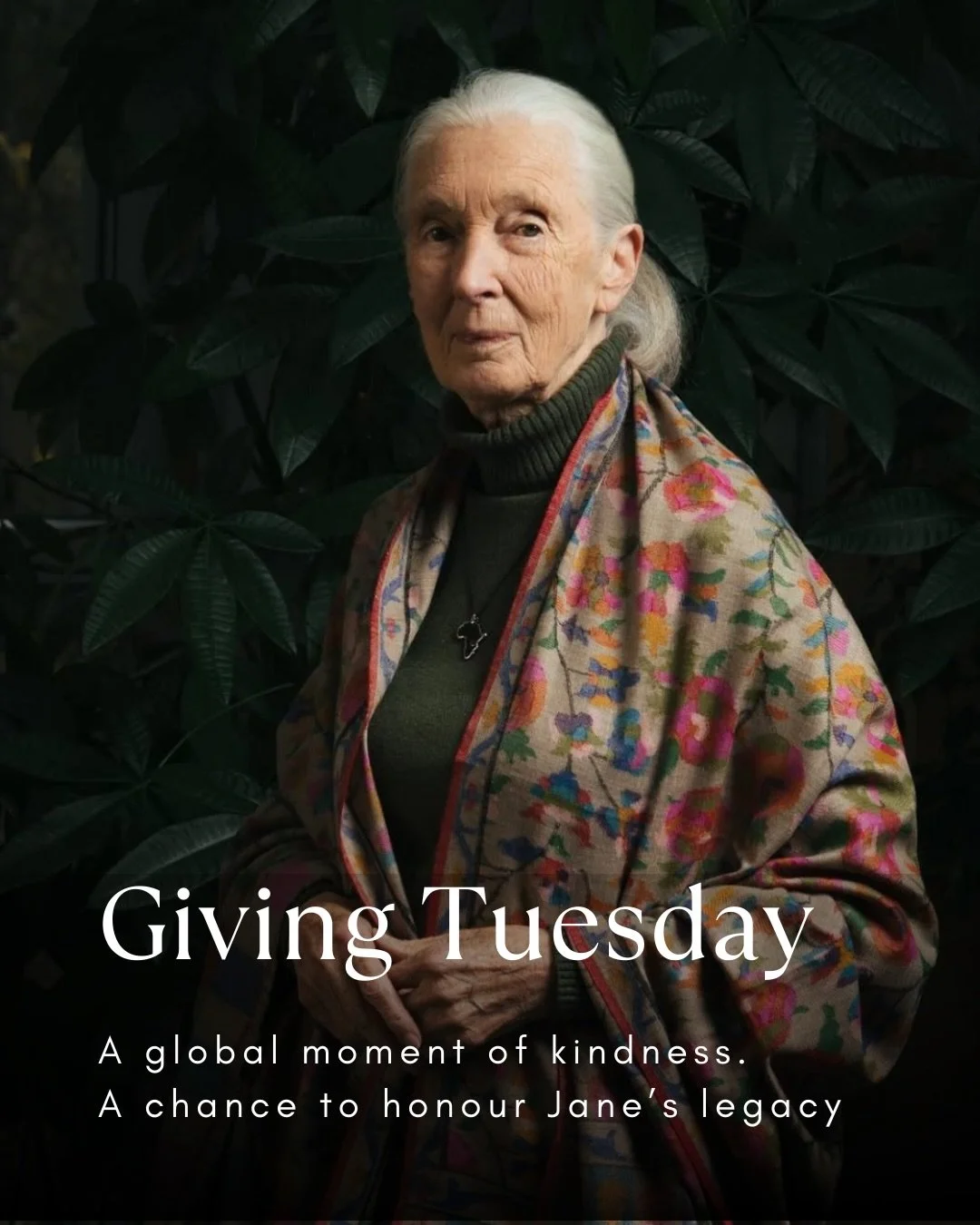 Today is GivingTuesday, a global moment of kindness and a chance to honour Jane&rsquo;s legacy. Her belief that one person and one action can change the world lives on in every tree planted and every young mind inspired. What you do today truly matte