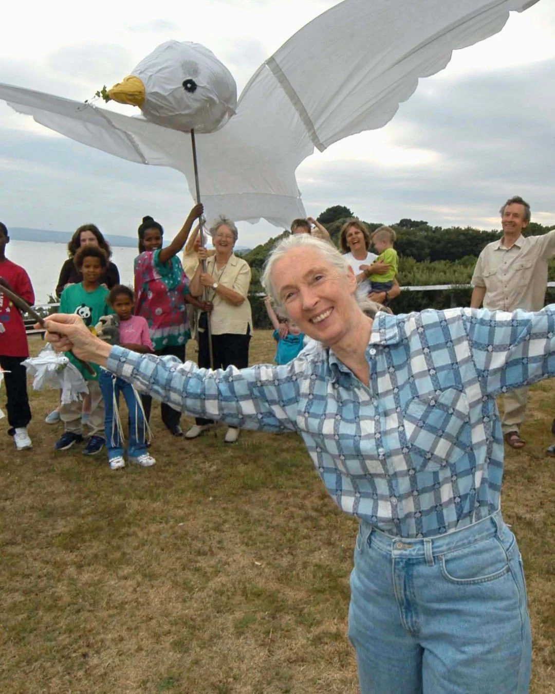 When Dr. Jane Goodall was named a UN Messenger of Peace, a group of Roots &amp; Shoots students in Wisconsin decided to share her message with the world. Using recycled materials, they built the first giant peace dove, a soaring symbol of hope, unity