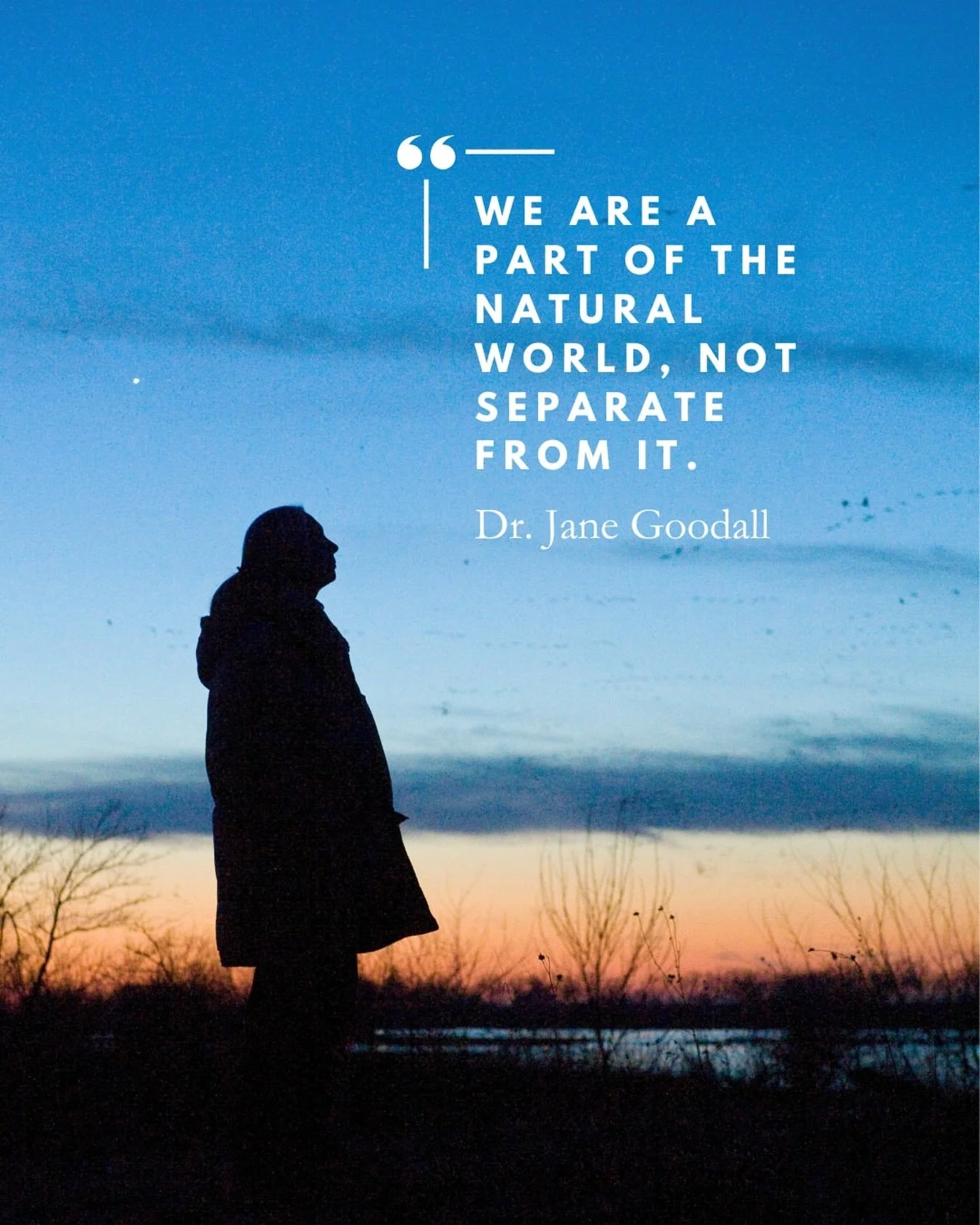 Understanding our connection to nature is the first step toward protecting it. Change begins with awareness and grows through action. As Jane reminds us, we are part of the natural world, and our choices shape its future. 💚