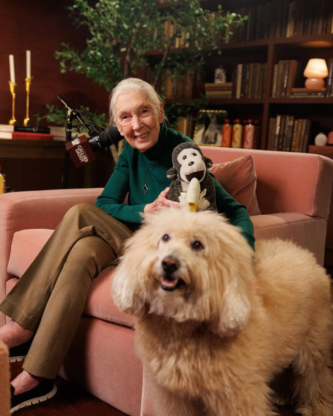 &ldquo;I don&rsquo;t like a day when I don&rsquo;t learn something, even a little thing.&rdquo;
Dr. Jane Goodall

The day before her 91st birthday, Jane sat down for an interview with @alexandracooper to share her reflections on purpose, happiness, a