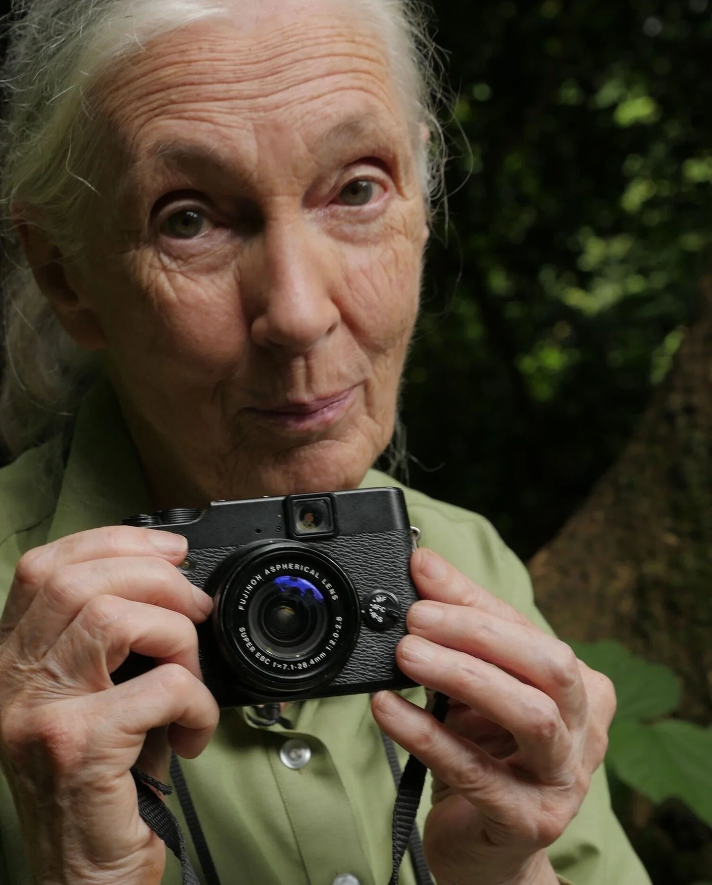 &ldquo;Jane believed that when we show real nature honestly, we don&rsquo;t just teach people. We help them feel wonder. Wonder becomes attention. Attention becomes care. And care becomes commitment.&rdquo;
&ndash; Bill Wallauer, JGI cinematographer 