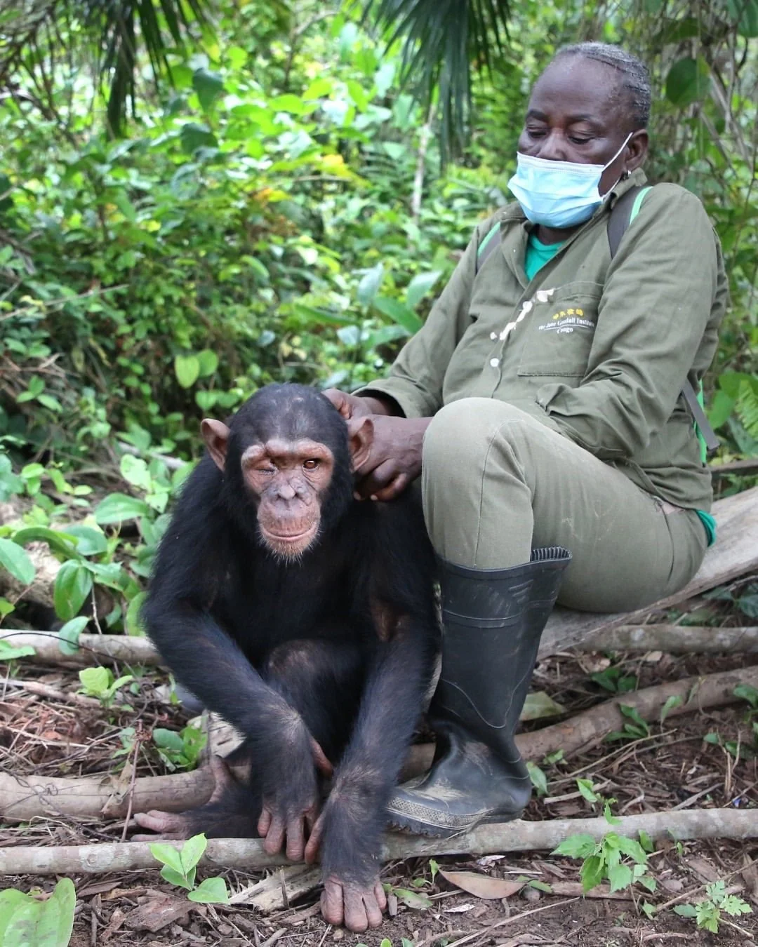 Today is #WorldWildlifeDay, a celebration of wild animals, plants and the essential roles they play in sustaining life on Earth.

It is also a reminder of something Dr Jane Goodall has long taught us: we are part of nature, not separate from it.

🐾 