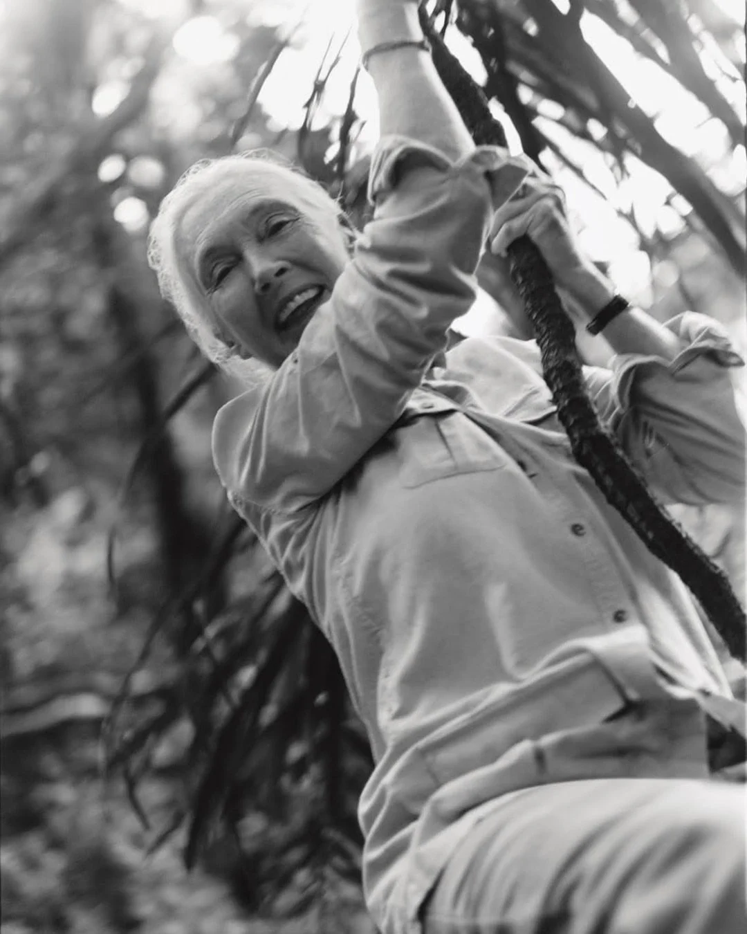 From climbing trees as a young girl to travelling the world, one thing never changed: curiosity.

The spark that drew Jane into nature as a child led her to live among wild chimpanzees, challenge scientific conventions, and inspire millions of people