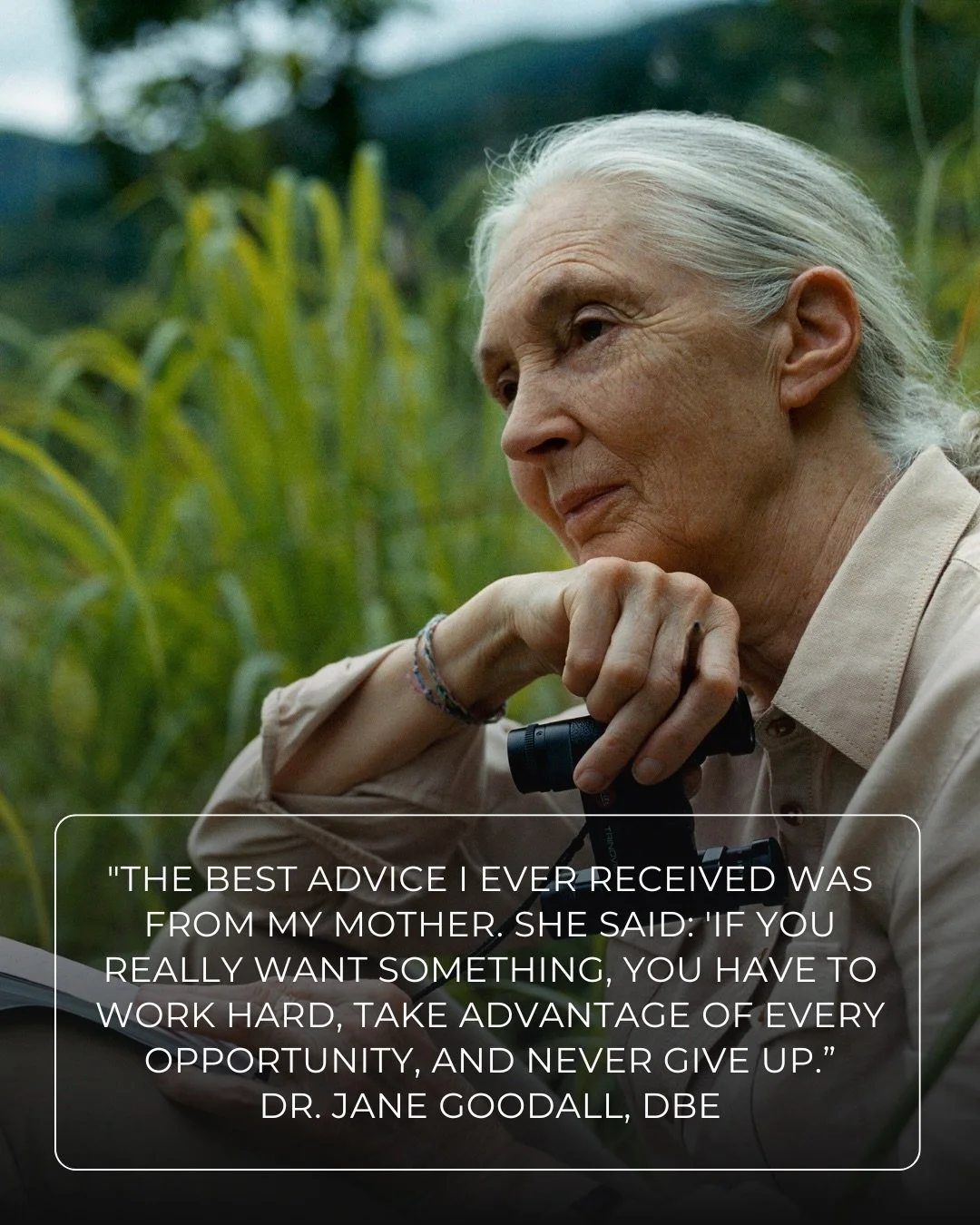 &ldquo;The best advice I ever received was from my mother. She said: &lsquo;If you really want something, you have to work hard, take advantage of every opportunity, and never give up.&rsquo;&rdquo;
&ndash; Dr. Jane Goodall, DBE

When Jane was a youn