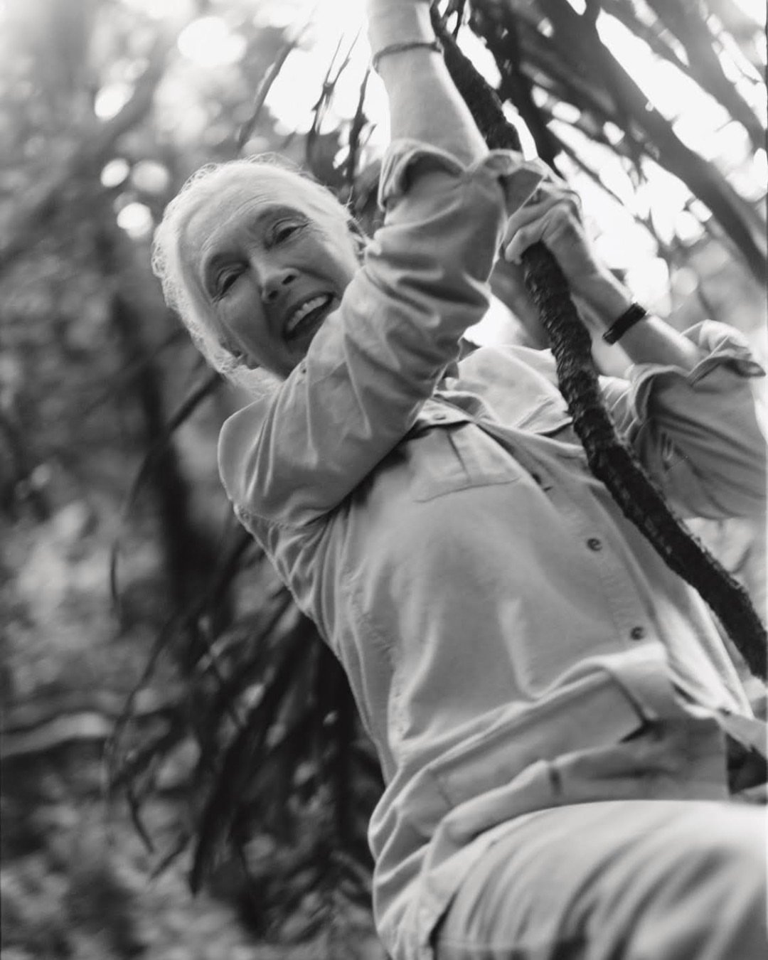 From climbing trees as a young girl to travelling the world, one thing never changed: curiosity.

The spark that drew Jane into nature as a child led her to live among wild chimpanzees, challenge scientific conventions, and inspire millions of people