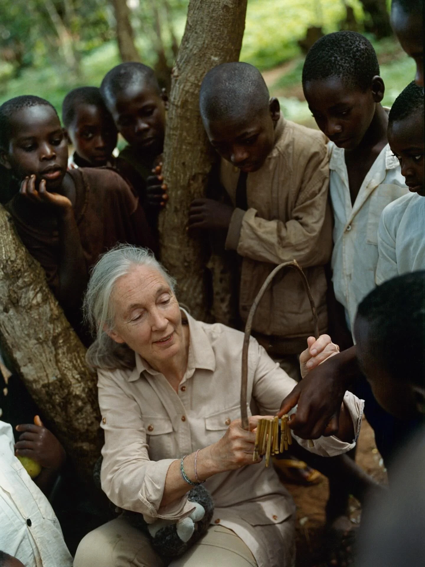 Dr. Jane Goodall once thought she&rsquo;d stay forever in Gombe, Tanzania&hellip; so what changed?

In the 1980s, a conference called &ldquo;Understanding Chimpanzees&rdquo; opened her eyes to the real threats facing chimpanzees.
&ldquo;I went as a s