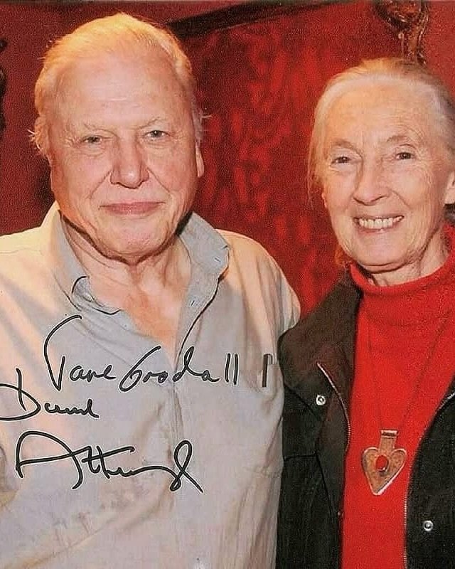 Tomorrow, we&rsquo;ll be celebrating the 100th birthday of the extraordinary @davidattenborough 🌿✨

For generations, your voice, storytelling and unwavering dedication to our planet have inspired millions to protect and cherish the natural world. Yo