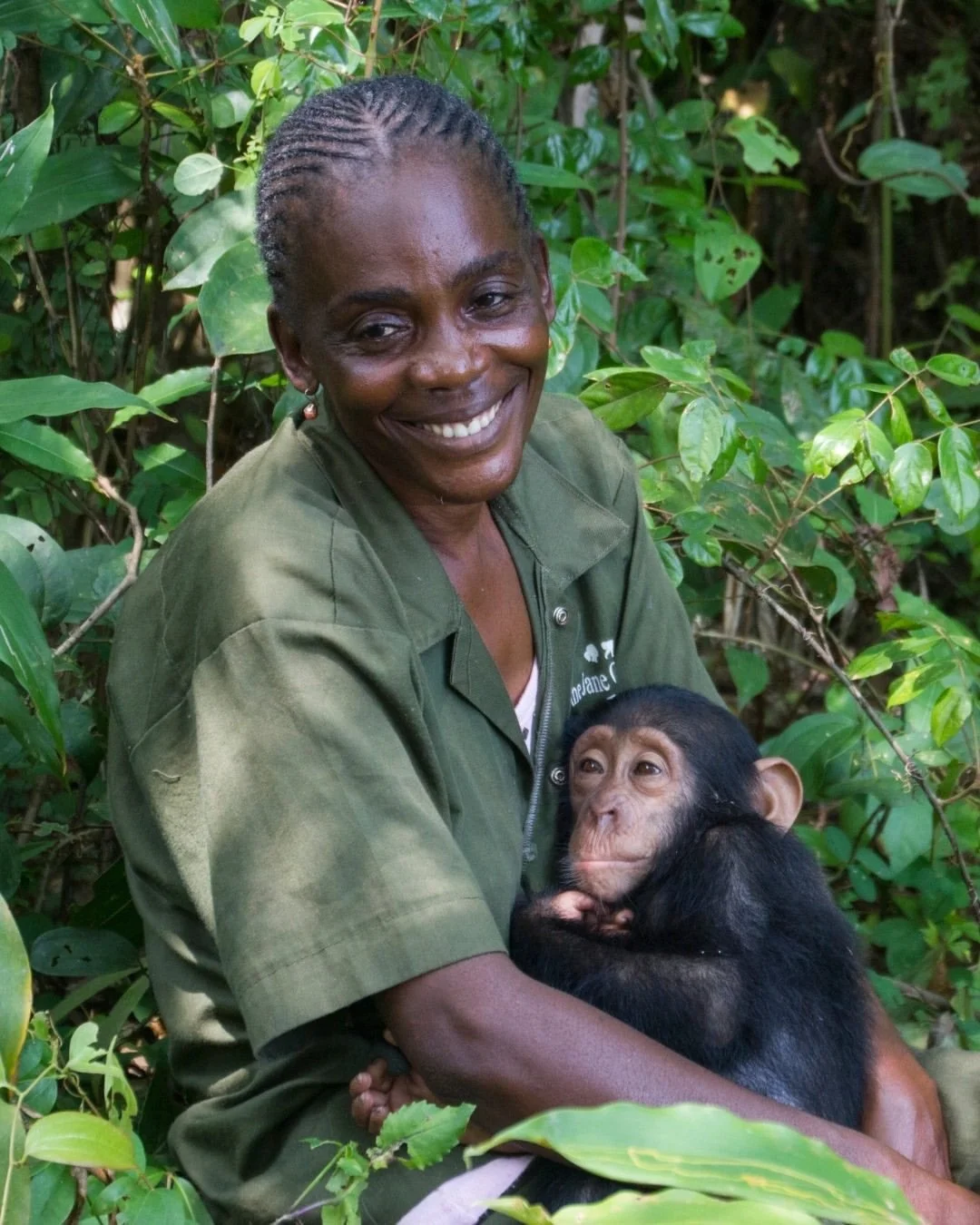 Every day, Dr Jane Goodall&rsquo;s vision of kindness and compassion comes to life at JGI&rsquo;s Tchimpounga Chimpanzee Rehabilitation Center in the Republic of the Congo. 💚⁠
⁠
Home to more than 150 rescued chimpanzees and other victims of the ille