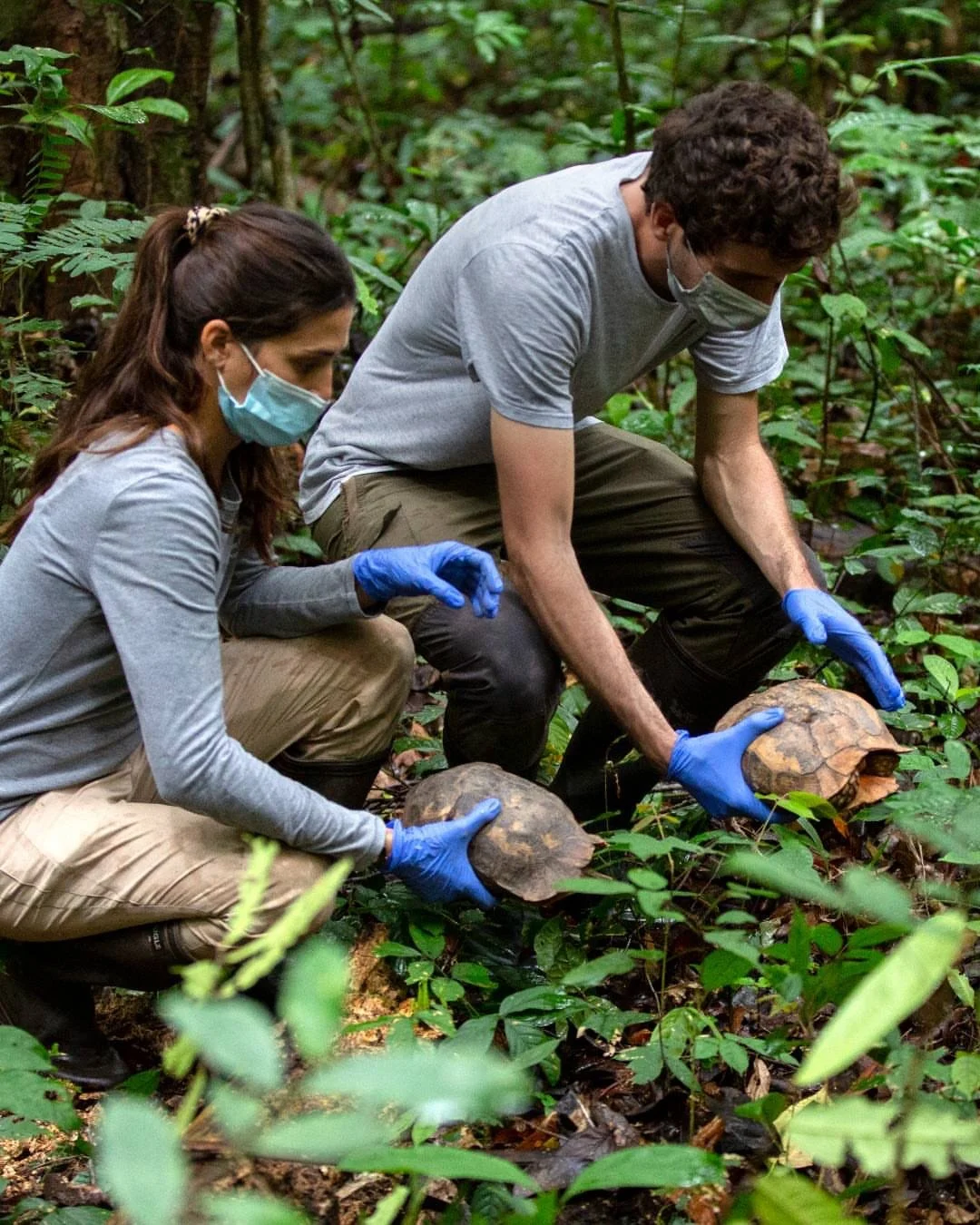 🐢 They were here long before us. At the Jane Goodall Institute&rsquo;s Tchimpounga Sanctuary in the Republic of the Congo, we&rsquo;re making sure they have a future too.

Beyond our rescued chimpanzees, the surrounding forests, wetlands, and coastl