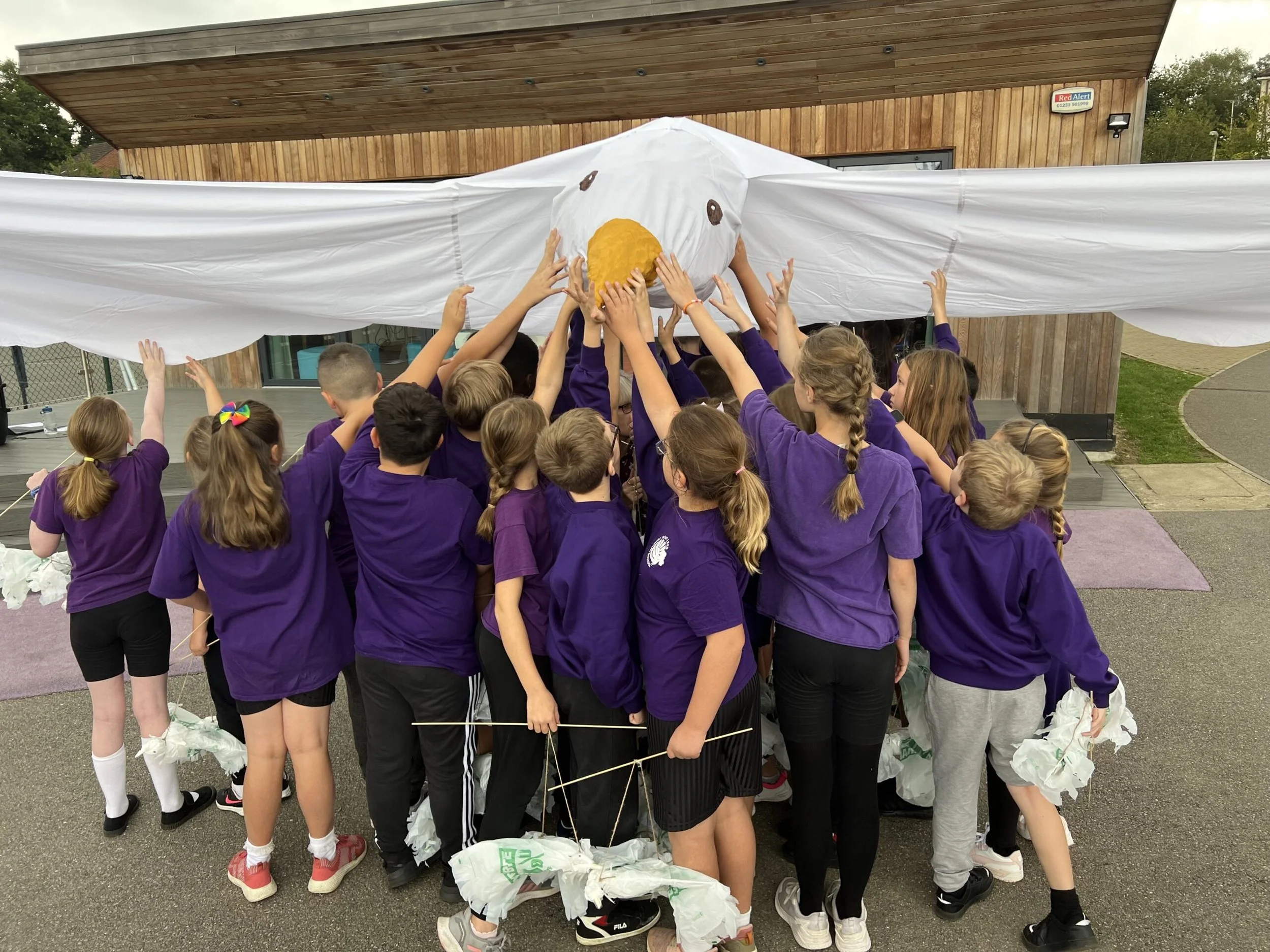 Roots & Shoots | Inspire Youth Action Today | Jane Goodall Institute UK