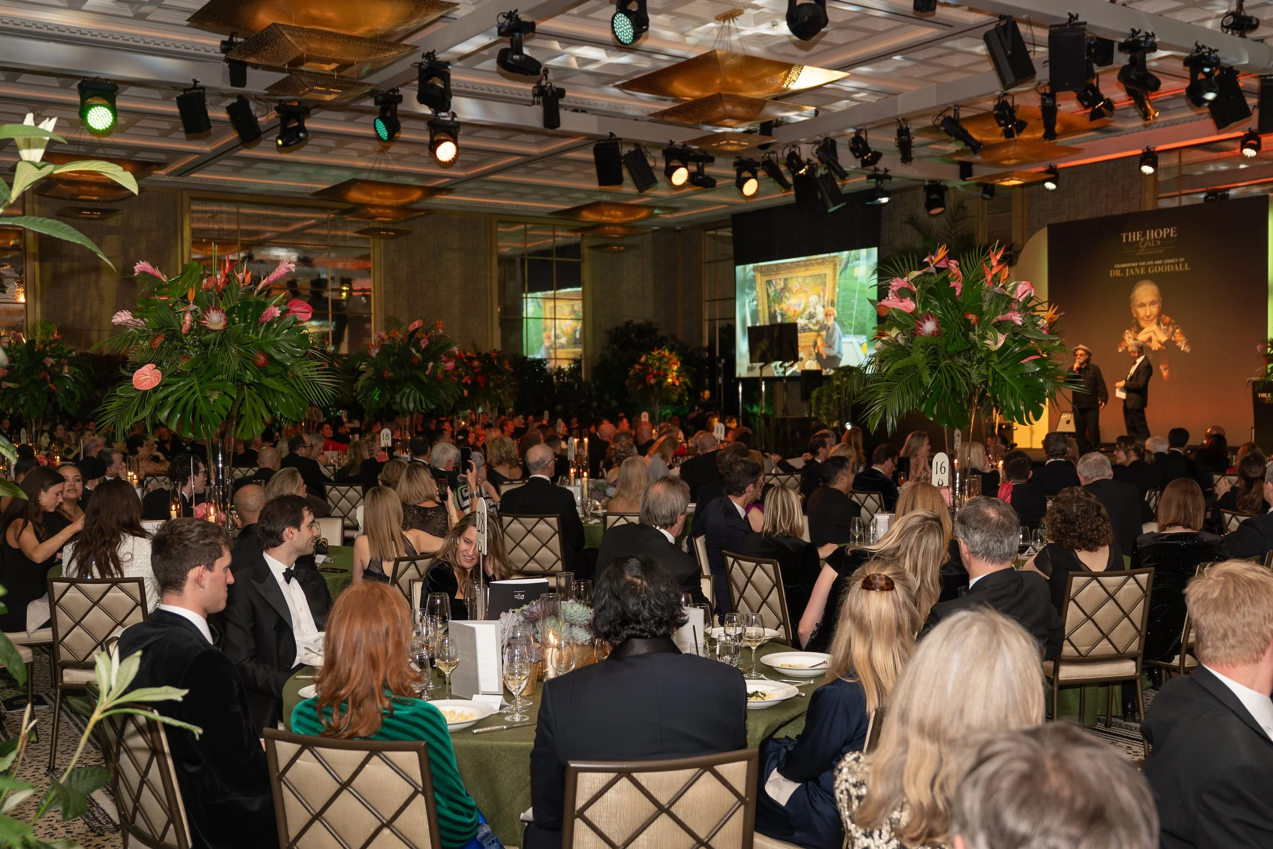 The Hope Gala-44.jpg