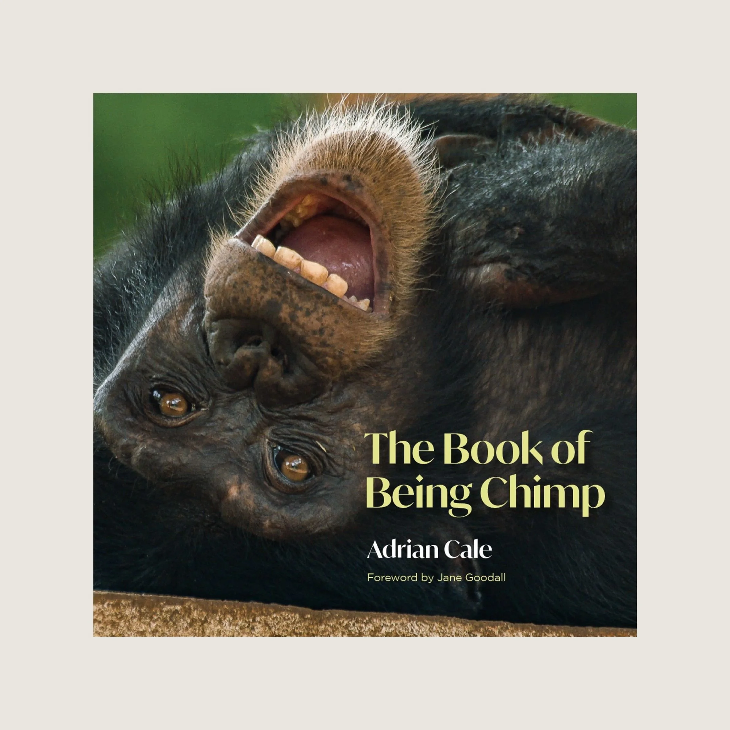 The Book of Being Chimp | Jane Goodall Institute UK