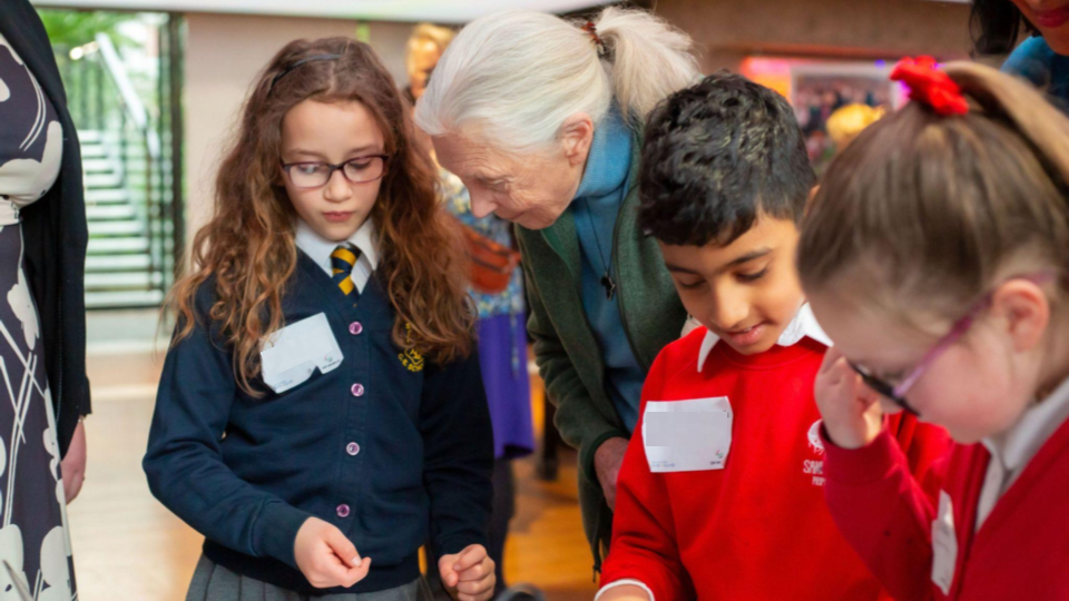 Roots & Shoots | Inspire Youth Action Today | Jane Goodall Institute UK