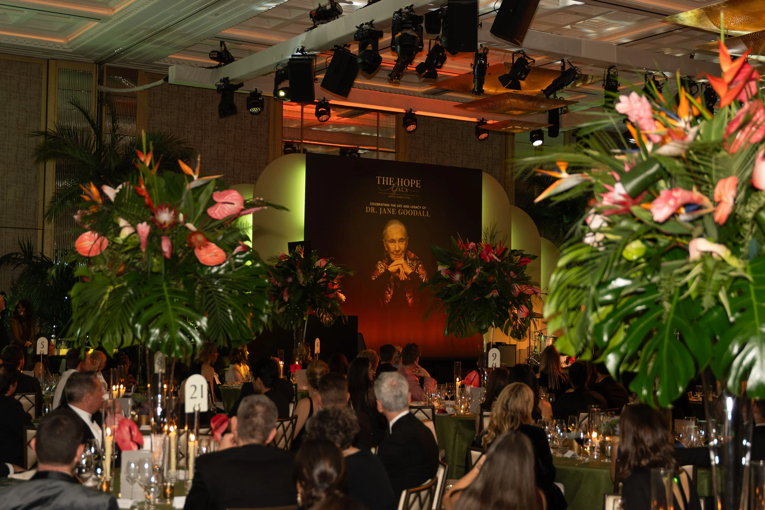 The Hope Gala-53.jpg