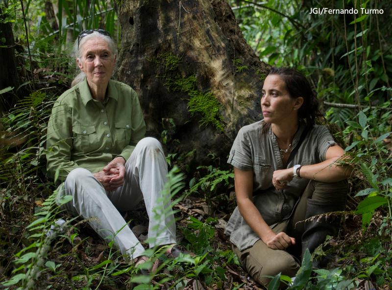 Two women are sitting on the forest floor next to a large tree in a lush jungle. One woman has long gray hair and is wearing a green shirt and white pants, while the other has dark hair and is wearing a gray shirt and khaki pants. Both are surrounded