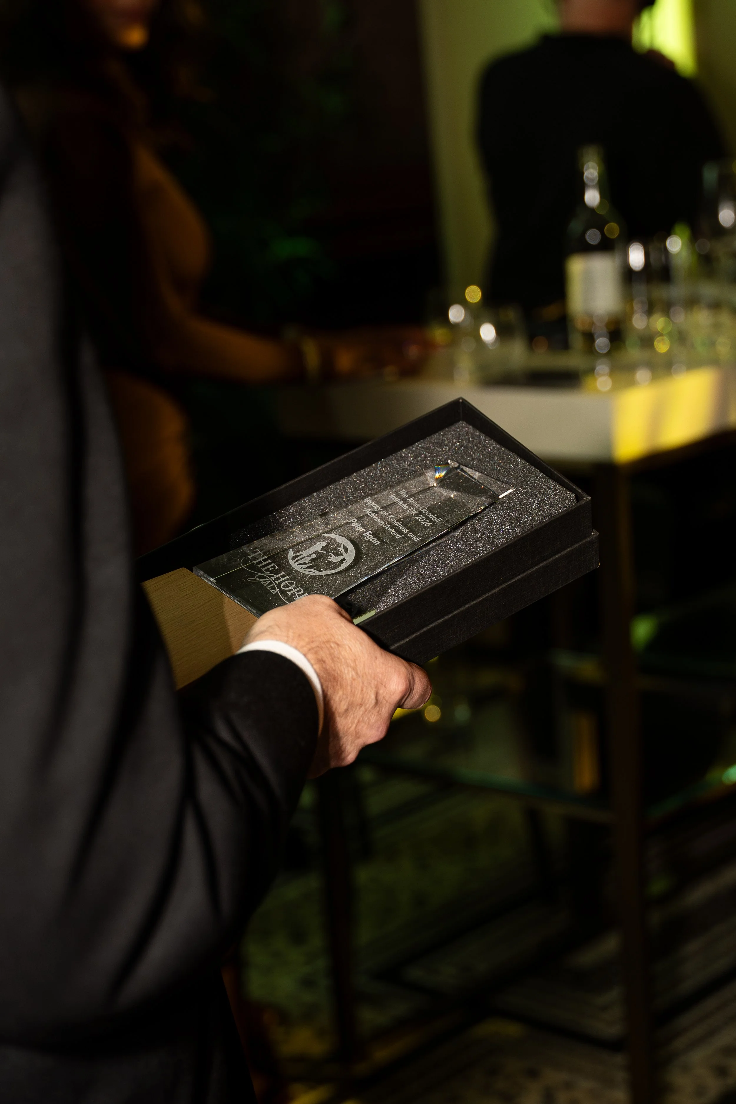 The Hope Gala-54.jpg