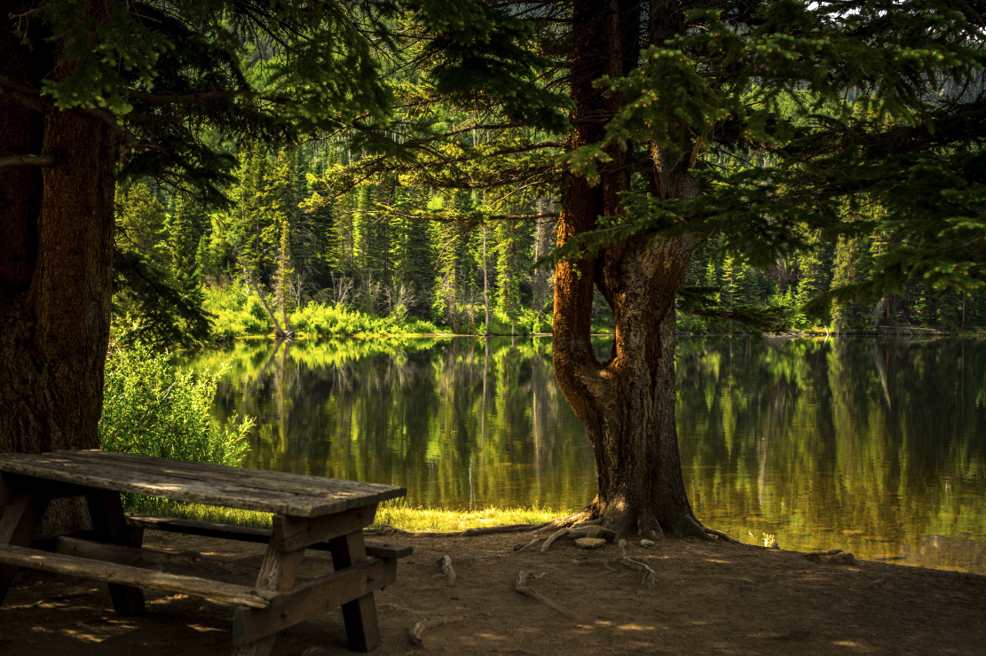 A peaceful lakeside scene with tall pine trees, a wooden picnic table, and calm water reflecting the forest and bright green foliage.
