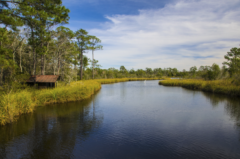 A calm river winding through a lush green landscape with tall trees and grassy banks, under a partly cloudy sky.