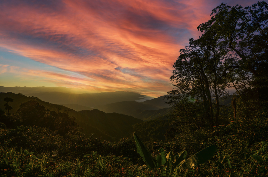 Sunrise over a lush, green mountain landscape with pink and orange clouds in the sky.