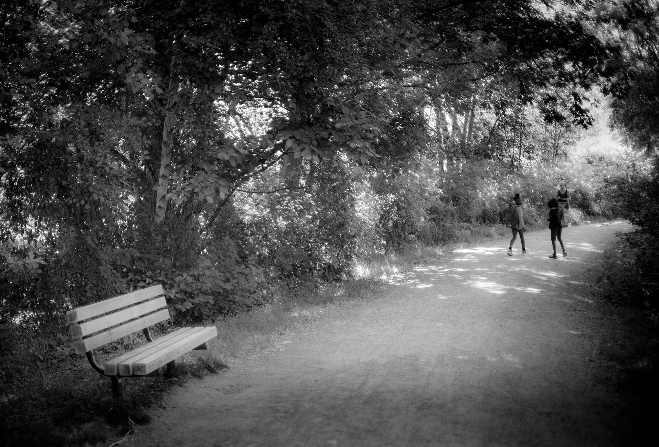 By Turner's Pond