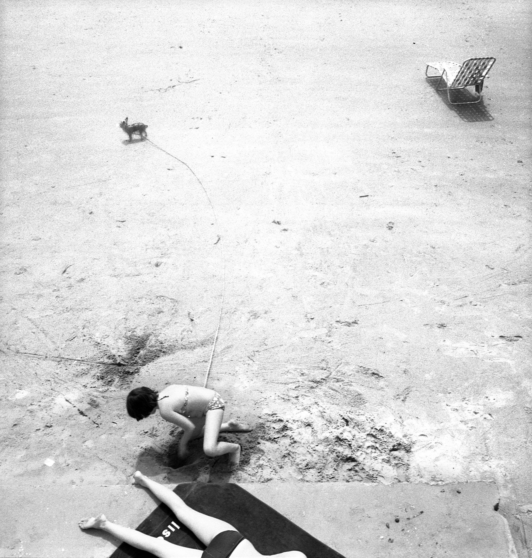 dog on lynn beach 2a.jpg