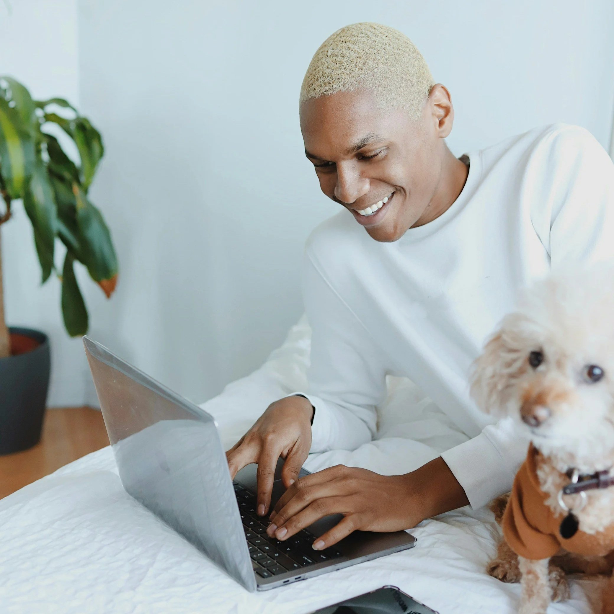 A young person with bleached blonde hair smiles while typing on a laptop. A small dog wearing a brown shirt sits nearby on a white bedspread, in a bright room with a potted plant in the background.