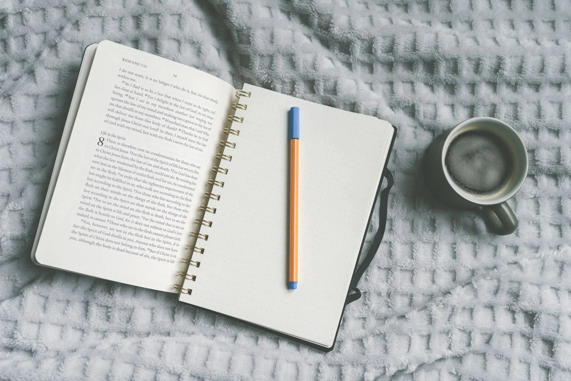 Starting the School Year Strong